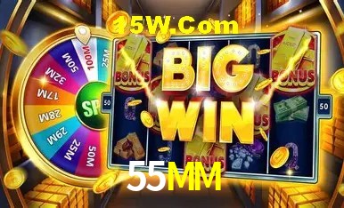 Security Systems 55MM